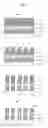 Fig. 04 - Photomask Blank, Photomask, and Pattern Transfer Method Using Photomask