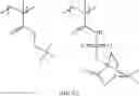 Fig. 108 - Positive resist composition and pattern forming method