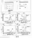Fig. 10 - Surface modification for enhanced silanation of ceramic materials