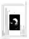 Fig. 15 - VETERINARY EXAM PREPARATION ON MOBILE DEVICES