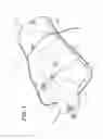 Fig. 02 - Physiological simulator for use as a brachial plexus nerve block trainer