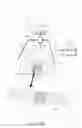 Fig. 26 - Physiological simulator for use as a brachial plexus nerve block trainer