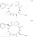 Fig. 09 - Cyclic peptides with an anti-parasitic activity