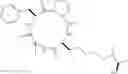 Fig. 36 - Cyclic peptides with an anti-parasitic activity