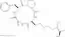 Fig. 41 - Cyclic peptides with an anti-parasitic activity