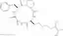 Fig. 42 - Cyclic peptides with an anti-parasitic activity