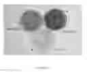 Fig. 02 - strain SB2 materials and methods
