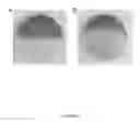 Fig. 05 - strain SB2 materials and methods