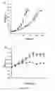 Fig. 13 - strain SB2 materials and methods