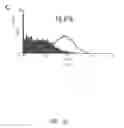 Fig. 06 - Enriched stem cell and progenitor cell populations, and methods of producing and using such populations