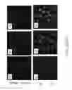 Fig. 10 - Enriched stem cell and progenitor cell populations, and methods of producing and using such populations