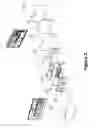 Fig. 03 - Real-time detection of influenza virus