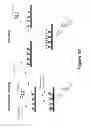 Fig. 09 - Real-time detection of influenza virus