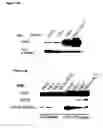 Fig. 17 - Screening systems utilizing RTP801