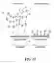 Fig. 32 - Magnetic immunosensor and method of use