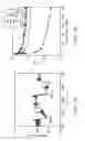 Fig. 03 - Detection of H. pylori utilizing unlabeled urea