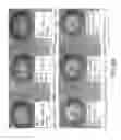 Fig. 32 - Isolated plant deoxyhypusine synthase and nucleotides encoding same