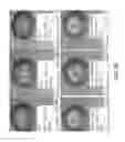 Fig. 33 - Isolated plant deoxyhypusine synthase and nucleotides encoding same