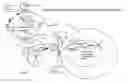 Fig. 02 - RECOMBINANT VECTOR AND USE IN GENE THERAPY