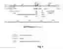 Fig. 06 - RECOMBINANT VECTOR AND USE IN GENE THERAPY