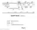 Fig. 07 - RECOMBINANT VECTOR AND USE IN GENE THERAPY
