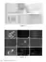 Fig. 02 - In vitro methods for the induction and maintenance of plant cell lines as single suspension cells with intact cell walls