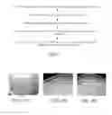 Fig. 06 - In vitro methods for the induction and maintenance of plant cell lines as single suspension cells with intact cell walls