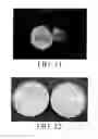 Fig. 09 - In vitro methods for the induction and maintenance of plant cell lines as single suspension cells with intact cell walls