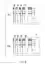 Fig. 06 - SEMICONDUCTOR DEVICE MANUFACATURING METHOD AND SILICON OXIDE FILM FORMING METHOD