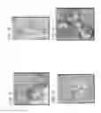 Fig. 02 - Fusible bicomponent spandex