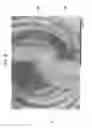Fig. 07 - Fusible bicomponent spandex