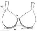 Fig. 01 - System for adjusting the fit of a bra to a wearer's bosom