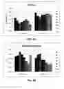 Fig. 06 - Method of producing recombinant high molecular weight vWF in cell culture
