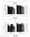 Fig. 07 - Method of producing recombinant high molecular weight vWF in cell culture