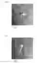 Fig. 07 - Neuronal differentiation-inducing peptide and use thereof