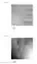 Fig. 09 - Neuronal differentiation-inducing peptide and use thereof