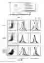 Fig. 09 - METHODS OF REDUCING TRAIL-INDUCED APOPTOSIS BY TRAIL ISOFORMS