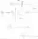 Fig. 67 - Chemical modifications of monomers and oligonucleotides with cycloaddition