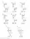 Fig. 03 - Antisense antiviral compounds and methods for treating a filovirus infection