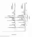 Fig. 03 - POLYMORPHS OF DARUNAVIR