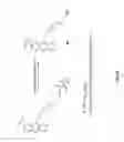 Fig. 52 - Novel Compositions and Methods of Treating Diseases Using the Same