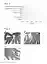 Fig. 02 - Antiparasitic agent for fish and method of controlling proliferation of fish parasites