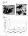 Fig. 11 - Antiparasitic agent for fish and method of controlling proliferation of fish parasites