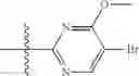Fig. 216 - Quinuclidine Compounds as Alpha-7 Nicotinic Acetylcholine Receptor Ligands