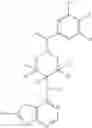 Fig. 28 - Deuterium-enriched pyrimidine compounds and derivatives