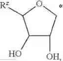 Fig. 06 - SELECTIVE ANTAGONISTS OF A2A ADENOSINE RECEPTORS