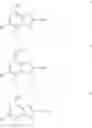 Fig. 02 - Hydroxy Substituted 1H-Imidazopyridines and Methods