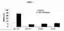 Fig. 05 - Use of angiotensin II agonists