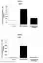 Fig. 07 - Use of angiotensin II agonists