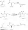 Fig. 07 - 2-oxo-1-pyrrolidine derivatives, processes for preparing them and their uses